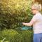 Bosch Home and Garden EasyHedgeCut 18-45 BT Batteri Häcksax exkl. batteri 18 V