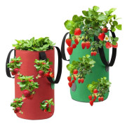 Strawberry Growing Bag, Breathable Strawberry Bag