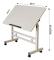 Ståskrivbord på hjul - Litet laptopbord - Höj- och sänkbart - 80×40 cm - Metallram - Vit