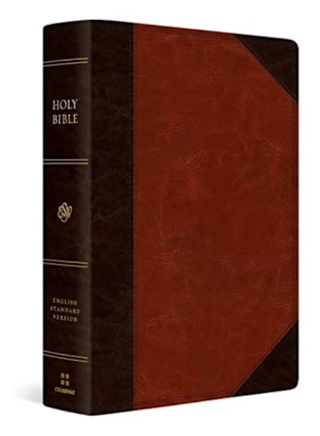 ESV Super Giant Print Bible