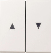 Gira 029427 rockers med pilsymbol System 55, rent vit matt