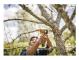 Fiskars Plus Folding Saw SW68