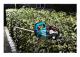Makita DUH502Z - Häcksax - sladdlös - 18 V - inget batteri - 0-2000/0-3600/0-4400 spm - 500 mm - skärkapacitet: 21.5 mm - 4.5 kg - SOLO