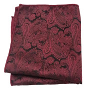 Stylish Handkerchief - NKD-11