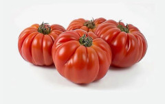 30 Marmande Tomatfrön - Halvvilda Permakultur Grönsaksfrön