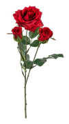 Ros snittblomma röd