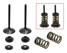 PSYKISKA INSUGNINGSVENTILER (VENTILSATS MED FJÄDRAR OCH BRICKA) SUZUKI RMZ 450 '08-'15, RMX 450 '10-'14 STÅL (MX-09527I) (35,9X5,48X81,9MM)