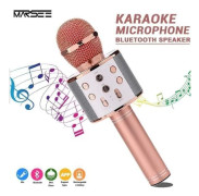 Bärbar trådlös Bluetooth-karaokemikrofon med 2 inbyggda Bluetooth-högtalare för Android och iOS, Karaoke P16380[YJD]