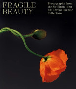 Fragile Beauty