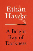 Bright Ray Of Darkness