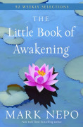 Little Book of Awakening (Bok / Häftad)