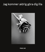 Jag kommer aldrig göra dig illa