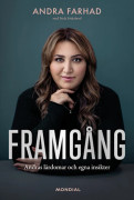 Framgång : andras lärdomar och egna insikter