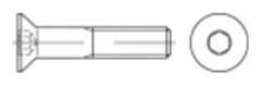 TOOLCRAFT försänkta skruvar M20 240 mm invändig sexkant stål 10 st