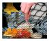 Black Pond Net Fish Pond Net Leaf Net Net Bird Protection Net robust 2 x 10 m