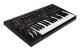 Moog