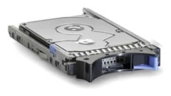 Lenovo - Hårddisk - 146 GB - hot-swap - 2.5" SFF - SAS 6Gb/s - 15000 rpm - för BladeCenter HS23; System x3100 M5; x3300 M4; x35XX M4; x3650 M4; x36...