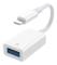 iPhone Adapter till USB - USB 2.0 Hona till Lightning - OTG
