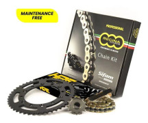 KIT KEDJA REGINA HPE - Regina - 789045 - Hem > SIFAM > Transmission > Kedjesats > Väg