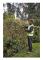DEWALT 18V 1x5.0Ah 55cm CIVIL LENGER DCMHT563P1