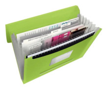 Esselte Vivida - Dokumentplånbok - expanderar - 6 utrymmen - för A4 (210 x 297 mm) - kapacitet: 300 ark - tabbad - intensivgrön