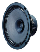 BG 20 - 8 Ohm 20 cm (8") fullregisterhögtalare