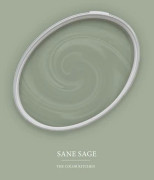 Grön matt väggfärg The Color Kitchen Sane Sage Dispersion exklusiv för inomhus Hög intensitet på 5 liter