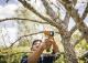 Fiskars Plus Folding Saw SW68