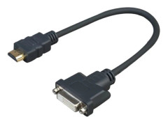 VivoLink Pro - Videokort - DVI-D hona till HDMI hane - 20 cm