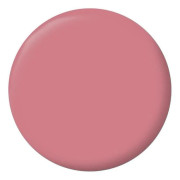 Inomhusfärg Sammetfärg för Väggar-Snickare-Radiatorer - Sovrum-Vardagsrum-Sal-Entré - 0,5L - Hibiskusrosa - Ripolin