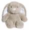 Teddykompaniet Teddy Heaters, Kanin