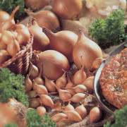 Sättlök Gul Setton Ekologisk (Storlek: 250g)