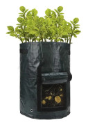 Grow Bag - Grow Organically on the Balcony Green
