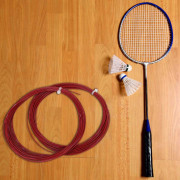 2 st Slitstark 10m Hög Flexibilitet Badmintonstränglina Träningsracket Racketlinor (vit)