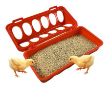 Chicken Feeder with 12 Holes for Indoor and Outdoor Use - Equipment Tray for Ducks, Quails, Pigeons, Birds (FMY)
