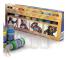 Scale75 Scale75: Fantasy & Games - Paint Set - Basic Colors