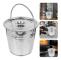 Stainless Steel Ash Bucket with Lid and Handle for Cleaning Fireplaces, Stoves, and Grills, Silver 7L