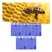 5 Reusable Queen Bee Isolators, Portable Beekeeping Introduction Cage, Blue - Compatible with Beekeeping Tools