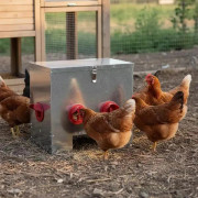 Hönsfoderautomat - Fodertråg 40,5 x 25 x 38 cm - Rostfritt stål - Väderbeständig - För hönshus och utebruk - Robust konstruktion