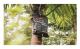 Solar Shower