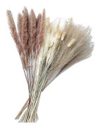 90 Pieces 17 Inch Natural Dried Pampas Grass Decor, White & Brown Pampas, for Floral Arrangements Boho Wedding