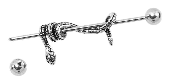 Gotisk skivstångsörhänge Punkstil Cosplay Titanstål 4.50X1.00X0.50cm Örsnibbspiercing 1-pack Silver 4.3x1.2cm