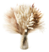 50 stycken naturlig torkad pampasdekoration, torkade blommor, torkad bukett, pampasgräsdekor, dekorativa pampasgräsväxter
