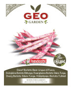 GEO Buskböna Borlotto EKO 18g