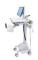 Ergotron StyleView - Vagn - för LCD-bildskärm/PC-utrustning - LiFe-driven, EU - medicinsk - plast, aluminium, zinkpläterat stål - grå, vit, polerat...