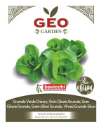 GEO Cikoria Grön Rosett EKO 4g