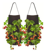 2 pcs Strawberry Growing Bag, Potato Growing Bag, Vegetable Growing Bag