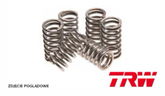 TRW ZF KOPPLINGSFJÄDRAR BMW F 650 CS / GS 94-08, APRILLIA 650 PEGASO 91-04, ETV 1000 CAPONORD 01-09, (EBS104)(EBS200)