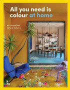 All You Need is Colour