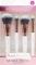 Brushworks Mini borste kit